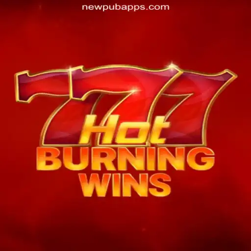 HotBurningWins: A Game-Changer in Online Slots